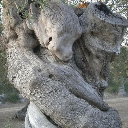 Dimora Dei Severini *